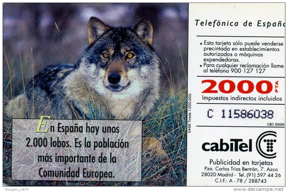 TELECARTE UTILISEE ....FAUNE IBERIQUE.....LOBO...VOIR PHOTO SCANNEE - Collections