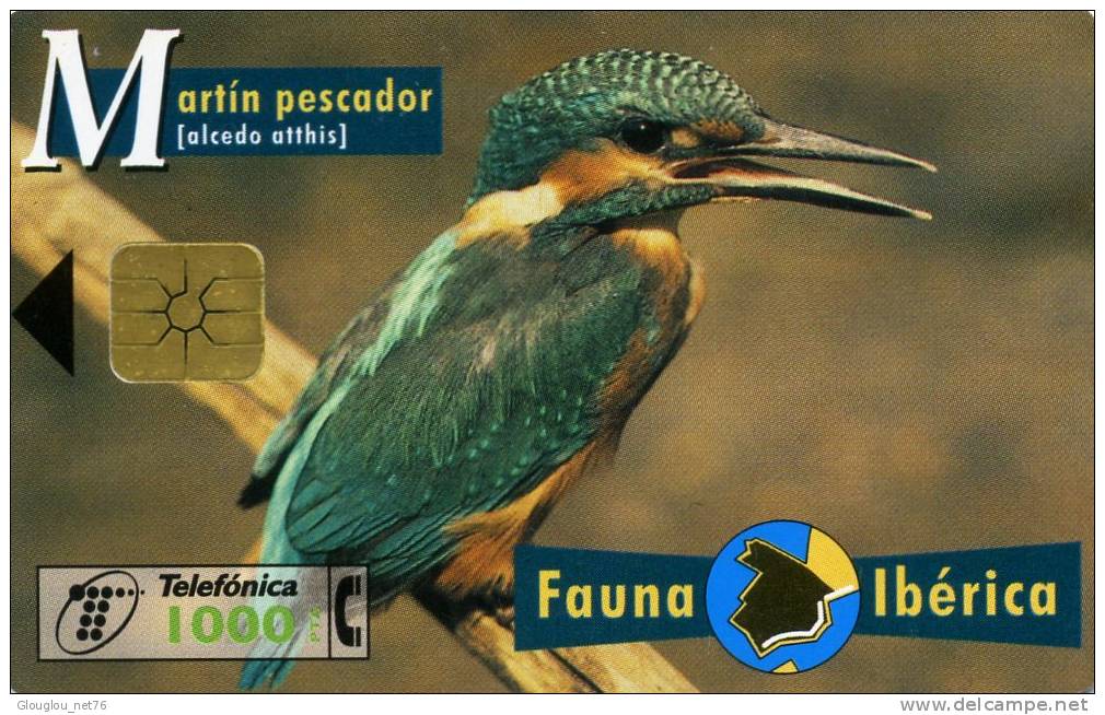 TELECARTE UTILISEE ....FAUNE IBERIQUE.....MARTIN PESCADOR...VOIR PHOTO SCANNEE - Collections