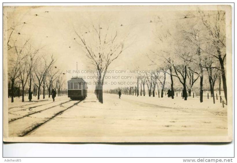 Ca 1900 Real Photo Echte Foto Vraie Photo Broadway, Streetwar, Tram, Tramway, Snow, Neige, Winnipeg Canada - Winnipeg