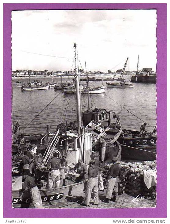 CPSM -  56 -  QUIBERON PORT MARIA -  DECHARGEMENT DES SARDINIERS / BATEAUX DE PECHE - Quiberon