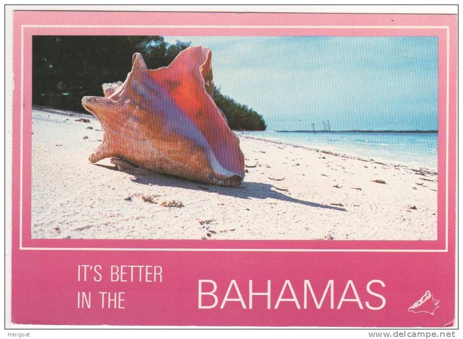 Beau Timbre Thème Poissons  / Carte , Postcard Du 16 Sep 1987, 2 Scans - Bahamas (1973-...)