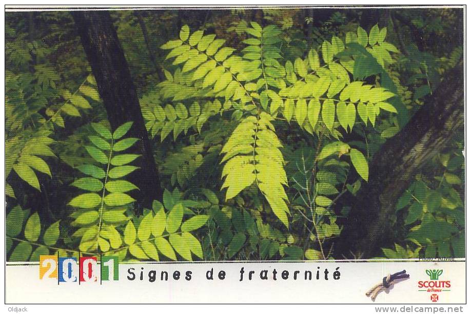 CPM : 2001 Signes De Fraternité SCOUTS DE FRANCE (18/10/11) - Scoutismo