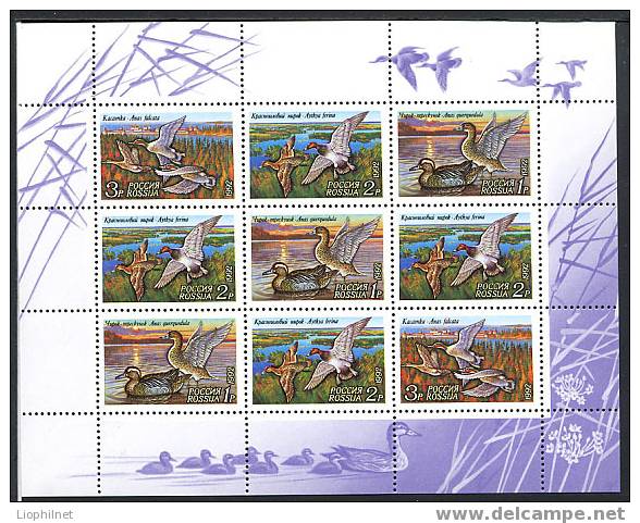 RUSSIE 1992, CANARDS En Feuillet, Neuf / Mint. R690 - Ducks