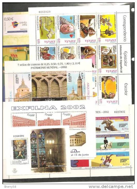 2002-AÑO COMPLETO CON H.B., M.P. Y CARNÉS-NUEVO-MONTADO EN HOJAS EUROFIL CON FILOESTUCHES TRANSPARENTES(NO EN IMAGÉN) - Annate Complete