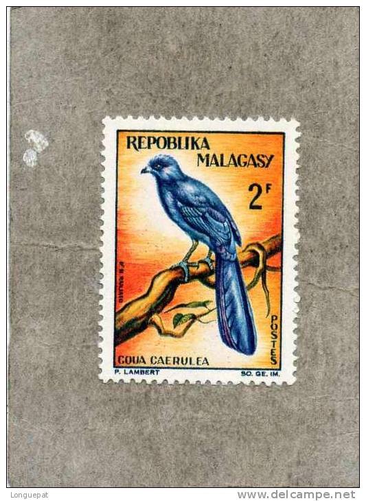 MADAGASCAR :Oiseau : Coua Caerulea (coua Bleu) - Madagascar (1960-...)