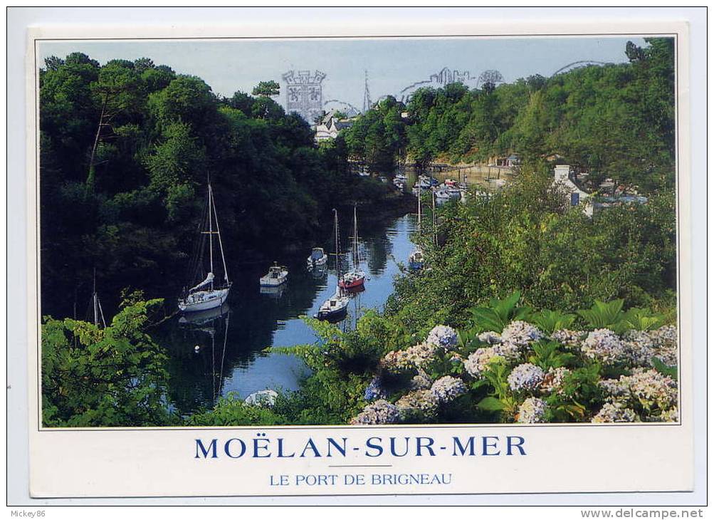 Moelan-sur-Mer--2001--Le Port De  Brigneau, Cpm  éd Jack--jolie Flamme Postale - Moëlan-sur-Mer