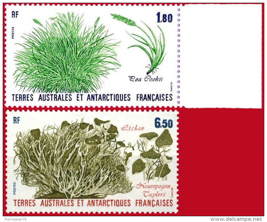 TAAF N° 125 Et 126 - Unused Stamps