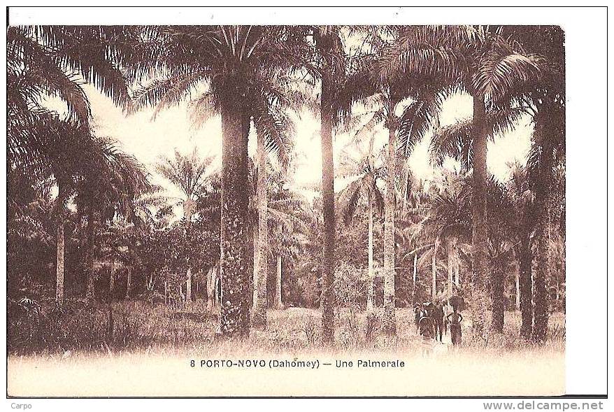 BENIN - DAHOMEY - PORTO-NOVO. - Une Palmeraie. - Benin