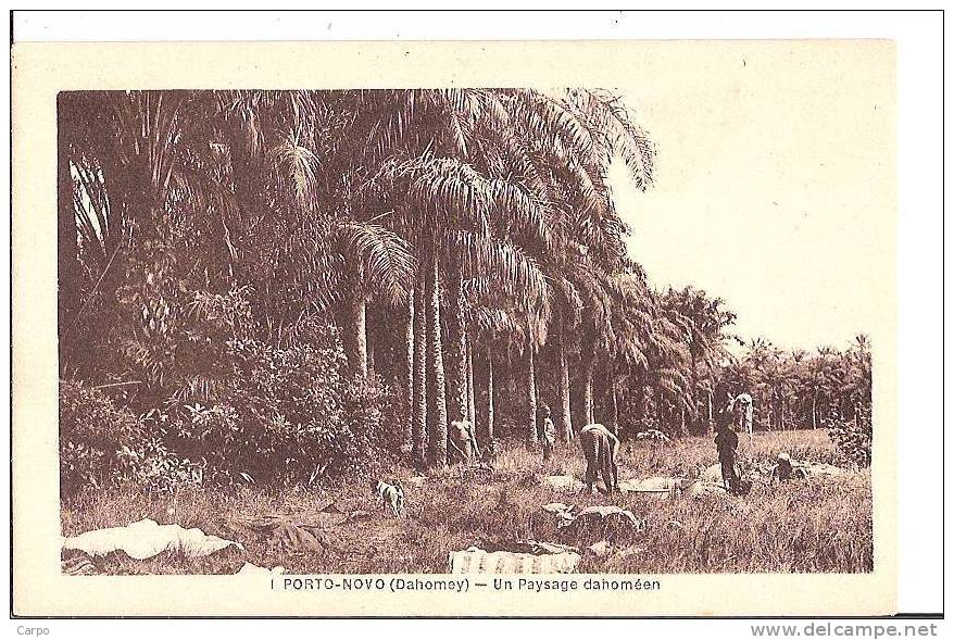 BENIN - DAHOMEY - PORTO-NOVO. - Un Paysage Dahoméen. - Benín