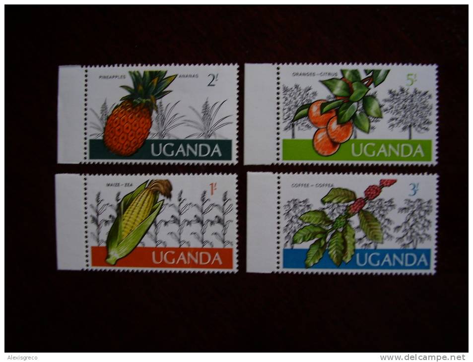 UGANDA Definitives 1975  UGANDAN CROPS  4 Values 1/- To  5/- MNH. - Ouganda (1962-...)