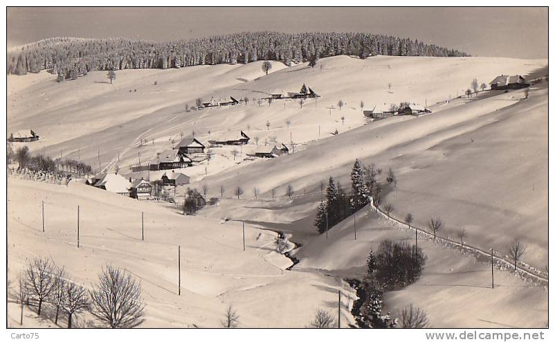 Allemagne - Todtnauberg - Neige Ski - Todtnau