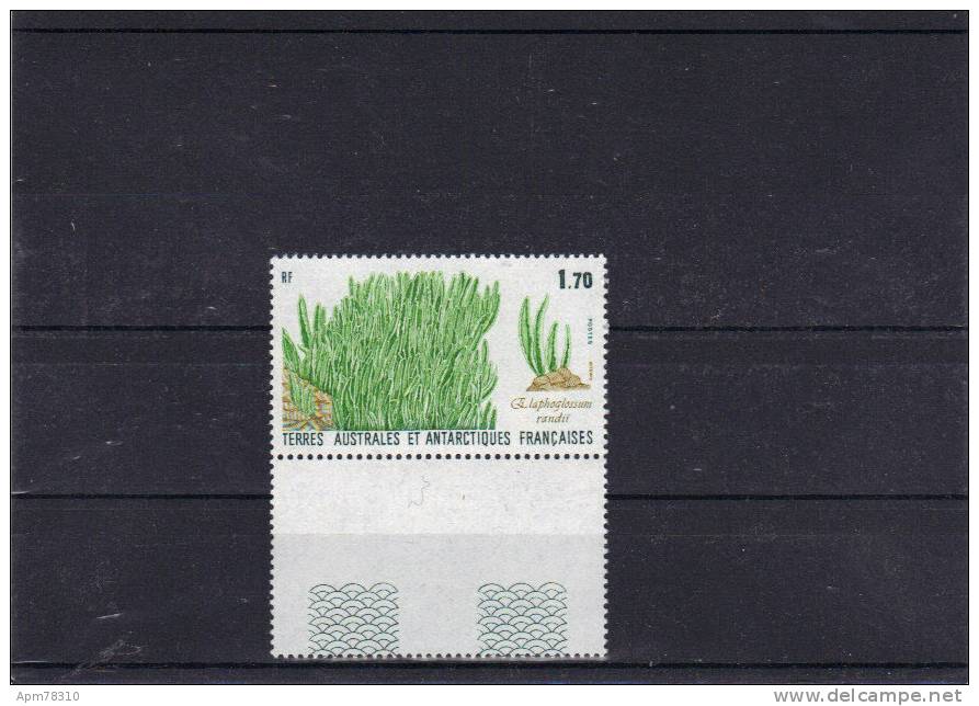 TAAF 1989 Y&T 143 ** - Unused Stamps