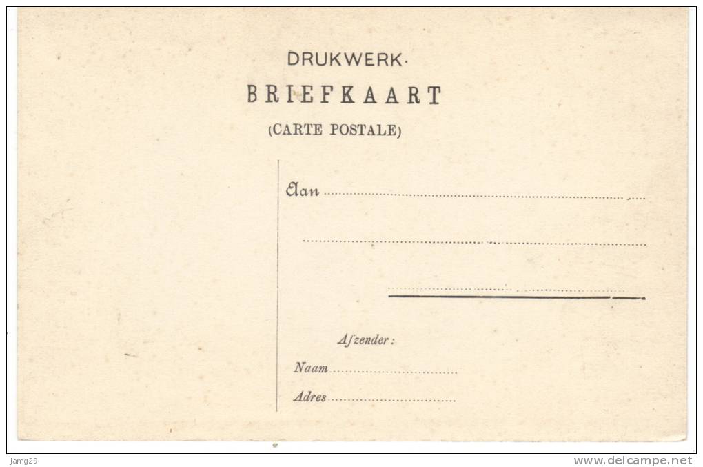 Nederland/Holland, Baarn, Laanstraat, Ca. 1900 - Baarn