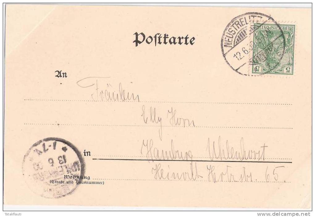Gruss Aus Neustrelitz Parthie Aus Dem Schloßgarten Mausoleum Bade Insel Jugendstil Rahmung 12.6.1900 Gelaufen - Neustrelitz