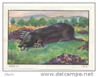 Image : La Taupe  /  Mole  /  Animal Animaux // IM K-21/2 - Nestlé