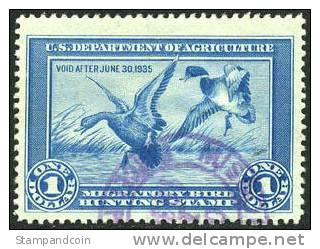US RW1 VF/XF Used Duck Stamp From 1934 - Duck Stamps