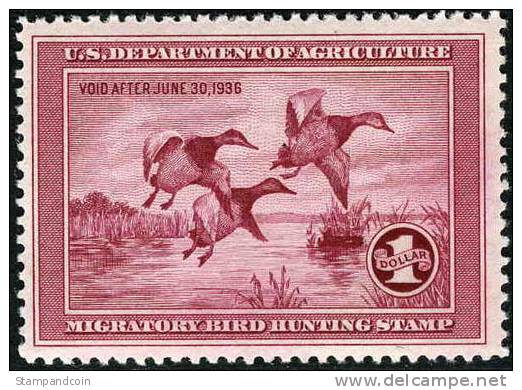 US RW2 XF Mint Never Hinged Duck Stamp From 1935 - Duck Stamps