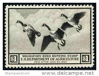 US RW3 XF Mint No Gum $1 Duck Stamp From 1936 - Duck Stamps