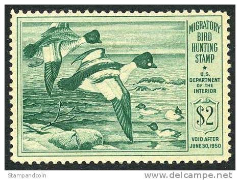 US RW16 Mint Never Hinged Duck Stamp From 1949 - Duck Stamps