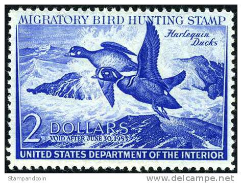 US RW19 XF Mint Hinged Duck Stamp From 1952 - Duck Stamps