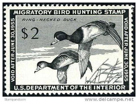US RW21 XF Mint Hinged Duck Stamp From 1954 - Duck Stamps