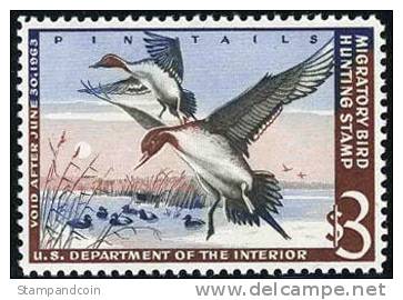 US RW29 XF Mint Never Hinged Duck Stamp From 1962 - Duck Stamps