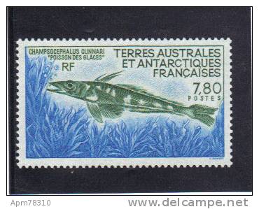 TAAF 1991 Y&T  161 ** - Unused Stamps