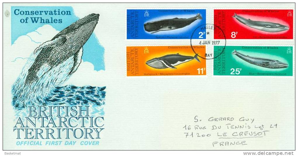 BRITISH ANTARTIQUE ENV 4/1/1977 BALEINES - Altri & Non Classificati