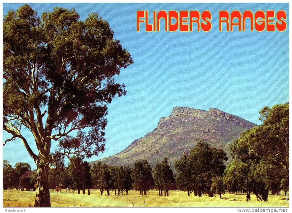 Flinders Ranges, SA,  Road Near Wilpena Pound Unused - Other & Unclassified