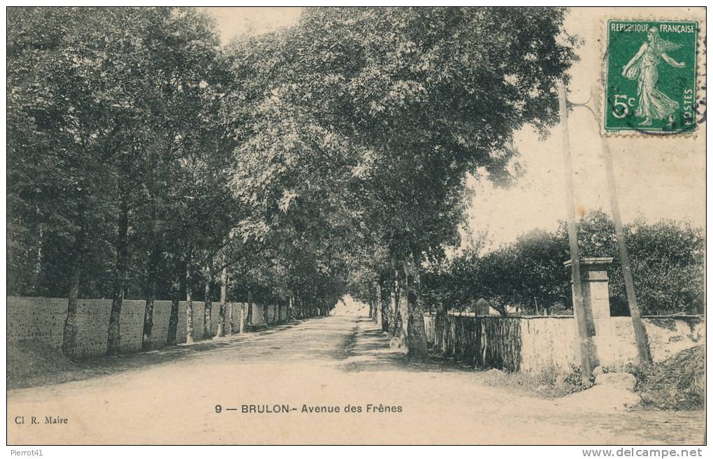 BRULON - Avenue Des Frênes - Brulon