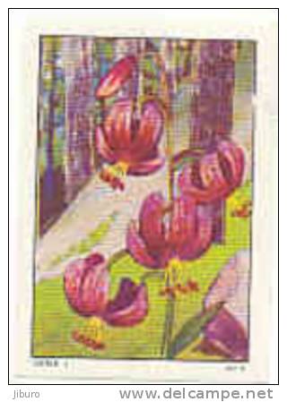 Image : Lis Martagon  /  ( Botanique Plantes Plante Végétaux Fleur )  //  IM K-26/15 - Nestlé