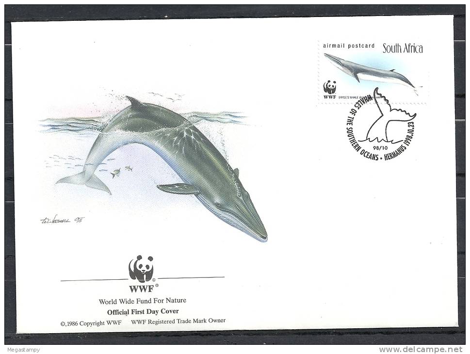 Süd-Afrika  1998  " Wal  Balaenoptera Edeni " ,   FDC  Des W W F - Wale
