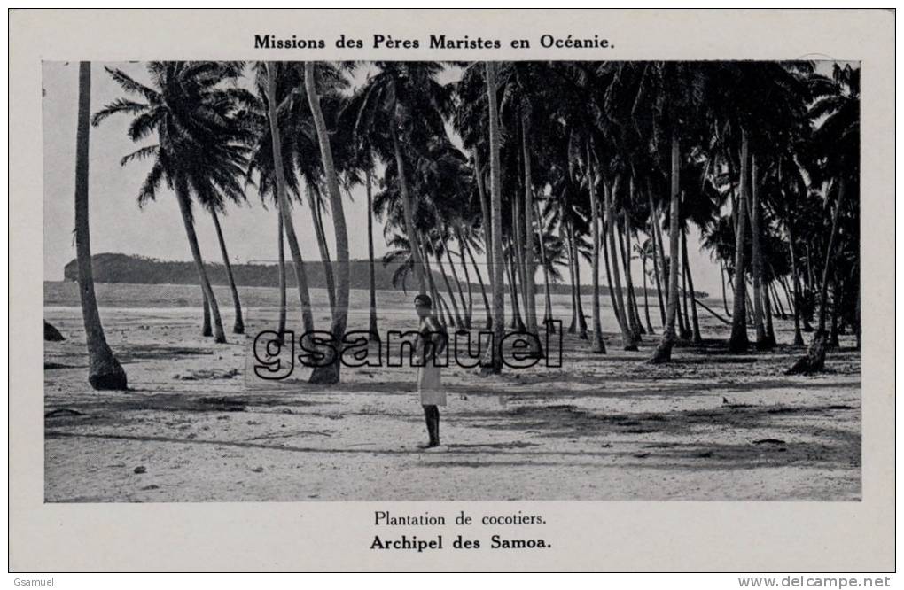 Océanie: Archipel Des Samoa - Plantation De Cocotiers. - (voir Scan Recto-verso). - Samoa