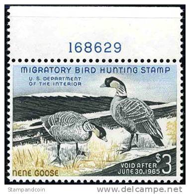 US RW31 XF Mint Never Hinged Duck Stamp From 1964 - Duck Stamps