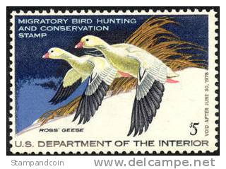 US RW44 Mint Never Hinged Duck Stamp From 1977 - Duck Stamps