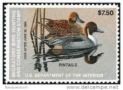 US RW50 Mint Never Hinged Duck Stamp From 1983 - Duck Stamps