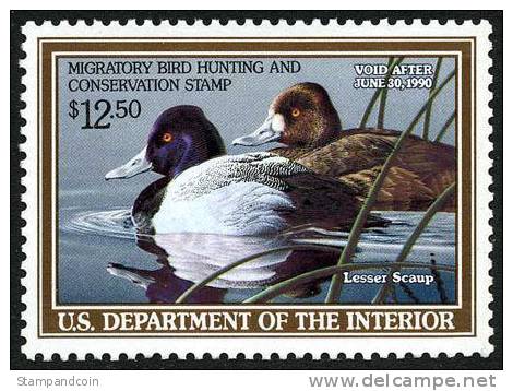 US RW56 SUPERB Mint Never Hinged Duck Stamp From 1989 - Duck Stamps