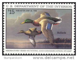 US RW62 XF Mint Never Hinged Duck Stamp From 1995 - Duck Stamps