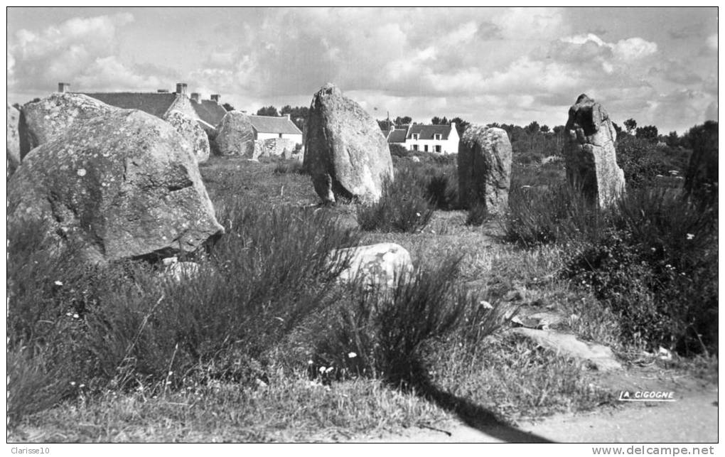 56 CPSM Carnac Alignements Megalithiques De Kermario - Dolmen & Menhire