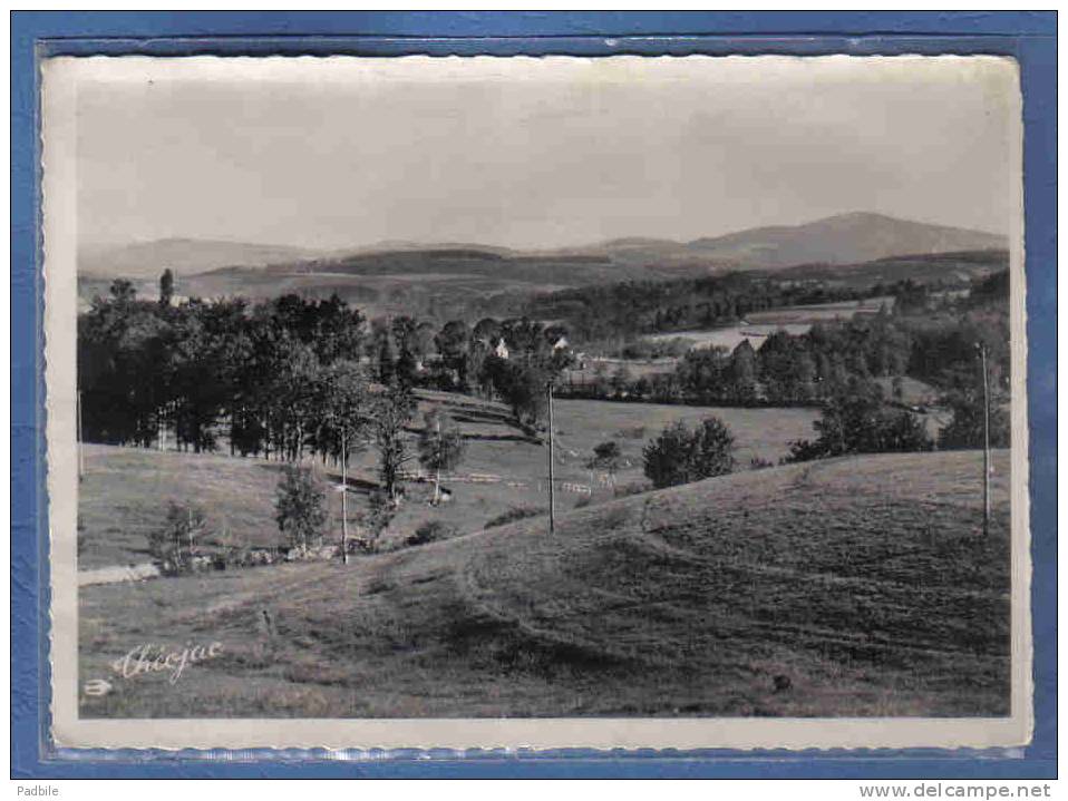 Carte Postale 19. Treignac  Vue Sur Les Monédières Trés Beau Plan - Treignac