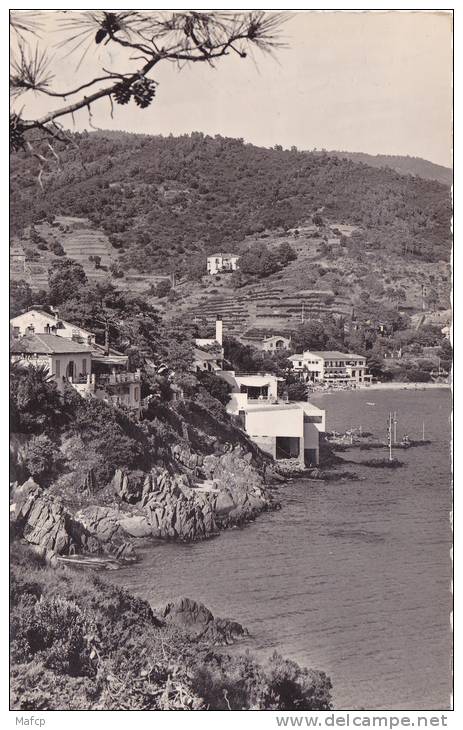 AIGUEBELLE   Le Bord De Mer Et La Plage - Aiguebelle