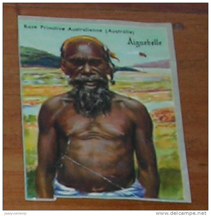 Chromo Chocolat  Aiguebelle  - N°14 - Race Primitive Australienne (Australie) - Aiguebelle