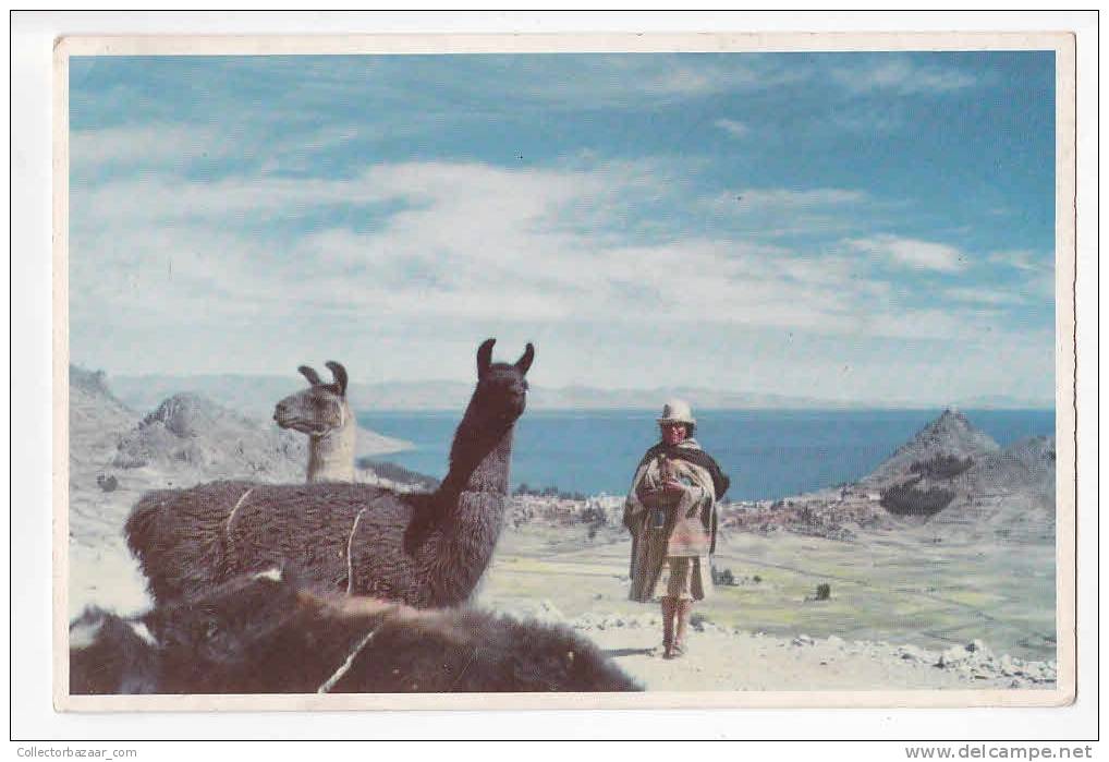 [W834] Bolivia Native American Aborigin In Quechua Or Aymara Chothes Vintage Postcard - Llama Titicaca Lake - Bolivia