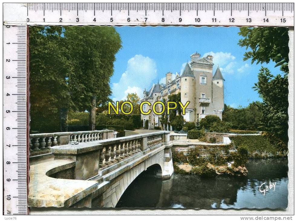 LA MOTHE SAINT HERAY -  Le Pont Et Château De La Villedieu - La Mothe Saint Heray