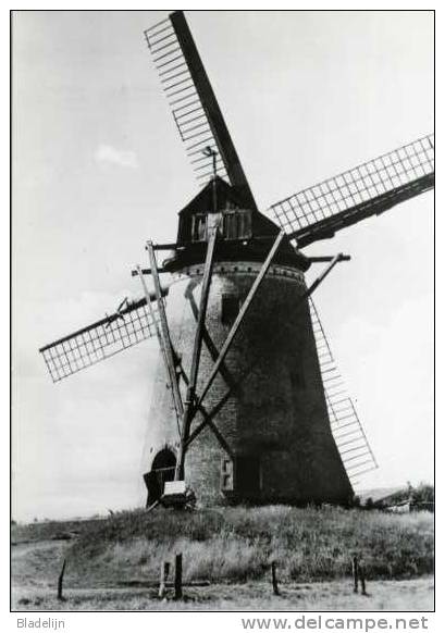 ROKSEM Bij Oudenburg (W.Vl.) - Molen/moulin - De Witte Molen In Verval (1975), Vóór De Ingrijpende Restauratie - Oudenburg