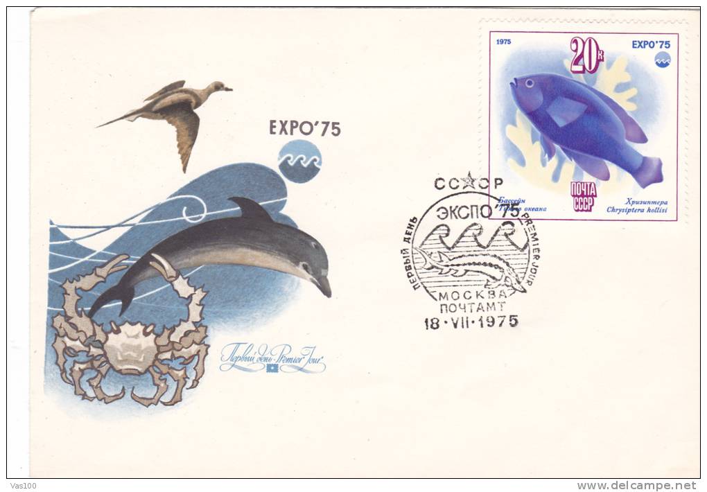 WHALE BALEINE - 1975 Cover FDC,premier Jour Russia - Wale