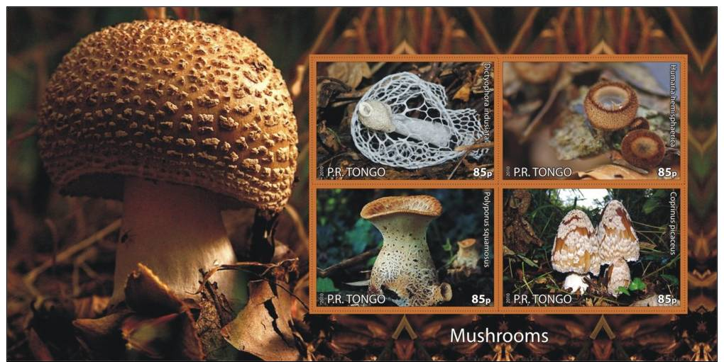 MUSHROOMS CHAMPIGNONS PADDESTOELEN PADDENSTOELEN MUSHROOMS PILZE SETAS FUNGHI  MNH Imperforated CINDERELLA - Fantasy Labels