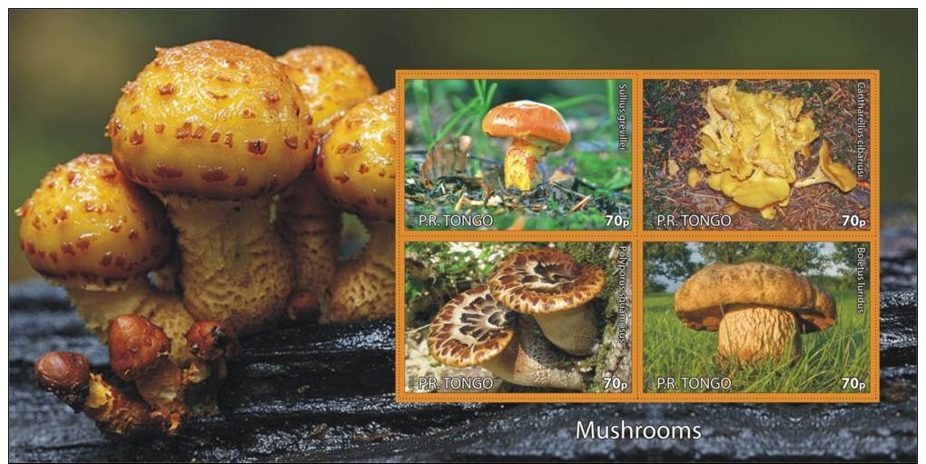 MUSHROOMS CHAMPIGNONS PADDESTOELEN PADDENSTOELEN MUSHROOMS PILZE SETAS FUNGHI  MNH Imperforated CINDERELLA - Fantasy Labels