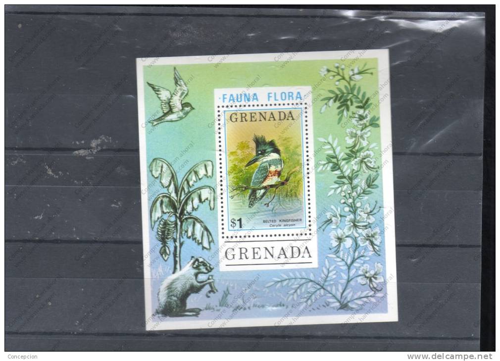 GRANADA   Nº  HB 48 - Colibris