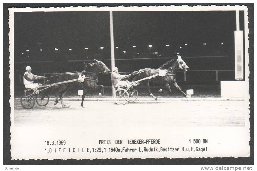 AK Trabrennen Trabersport Preis Der Tereker-Pferde 1969, Difficile, Fahrer L. Rudnik Horses - Reitsport